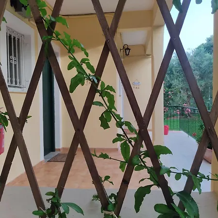 Oliveland Apartamento *