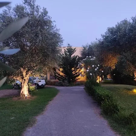 Oliveland Apartamento